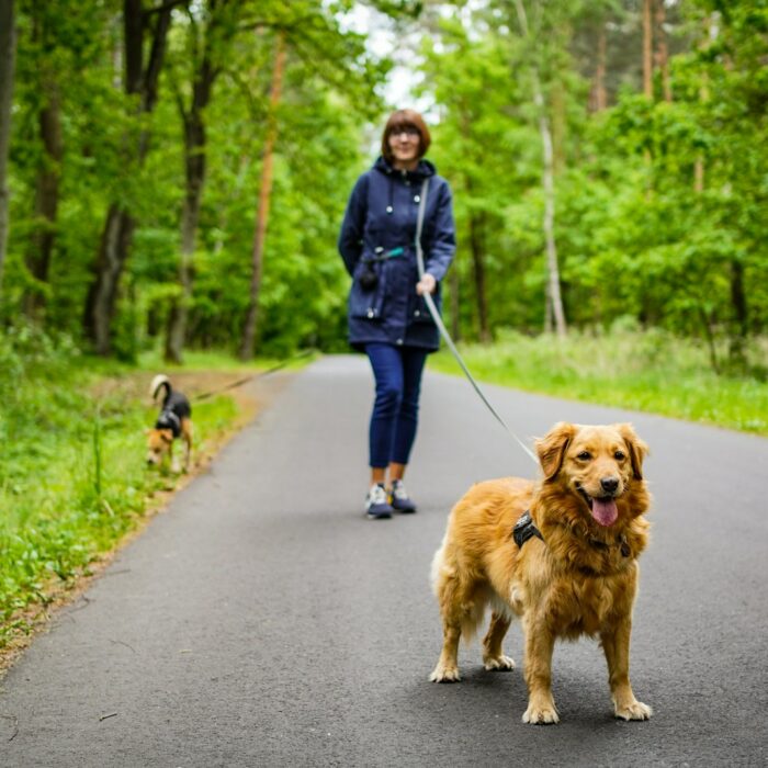 a person walking a dog on a leash on a path in the woods